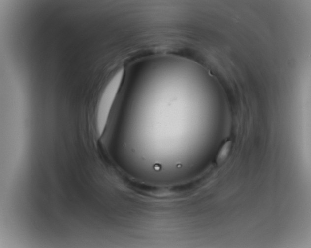 X0000113750219200909301038