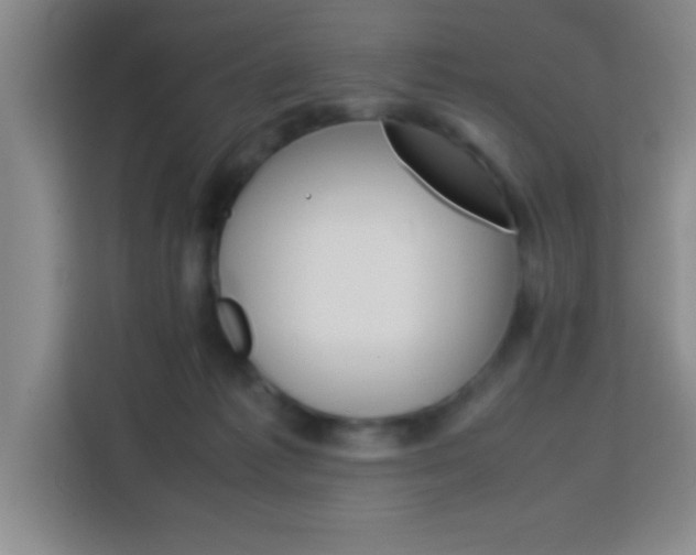 X0000113750221200909301038