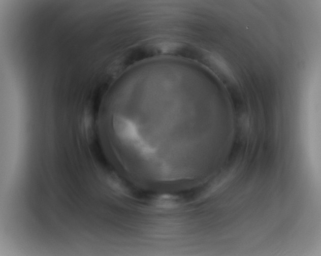 X0000113750222200909301038