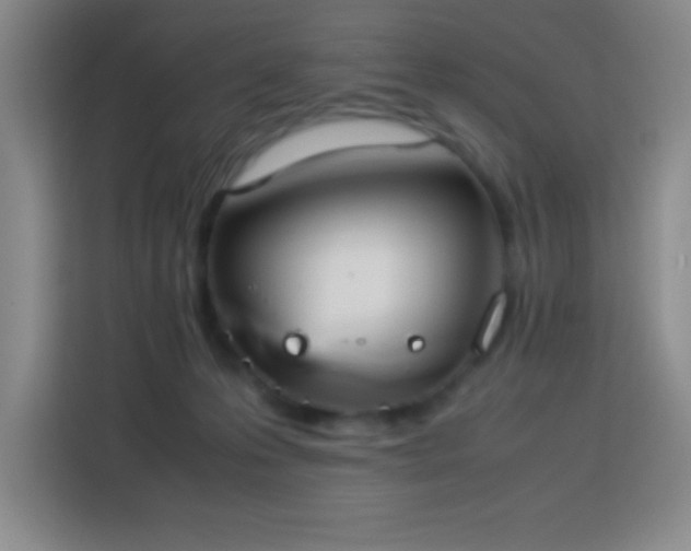 X0000113750223200909301038