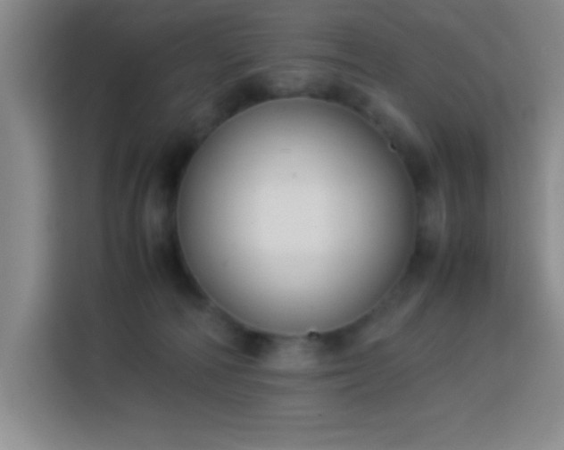 X0000113750226200909301038