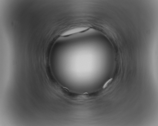 X0000113750227200909301038