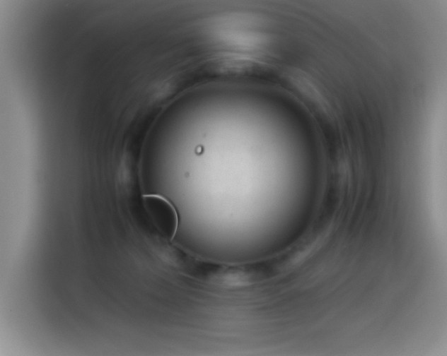 X0000113750228200909301038