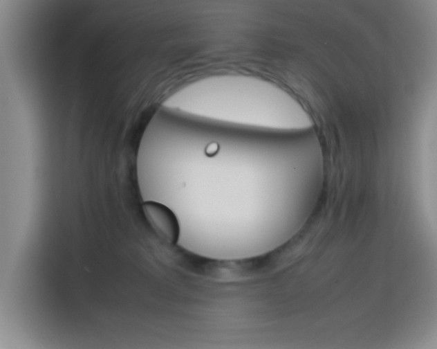 X0000113750229200909301038