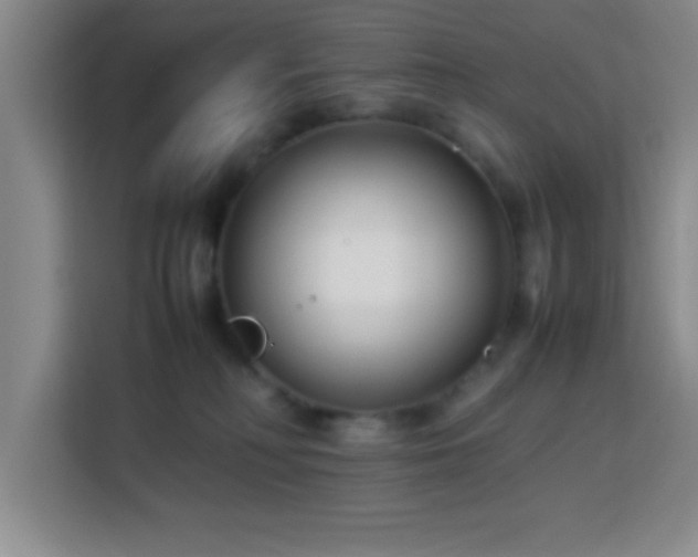 X0000113750230200909301038