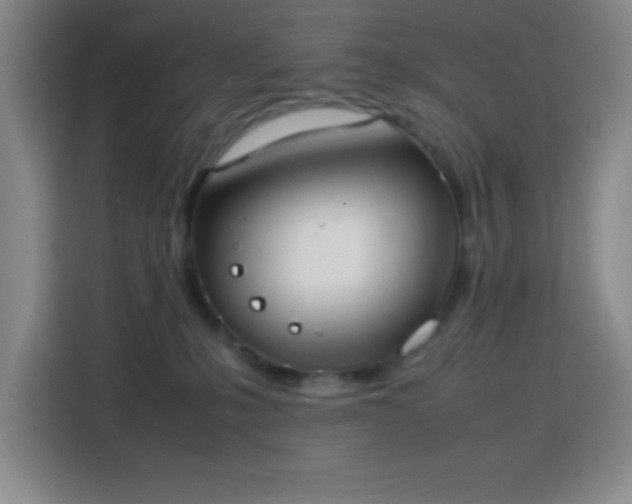 X0000113750231200909301038