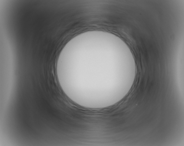 X0000113750233200909301038