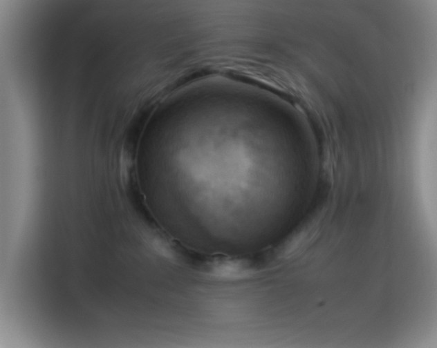 X0000113750235200909301038