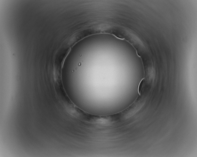 X0000113750236200909301038