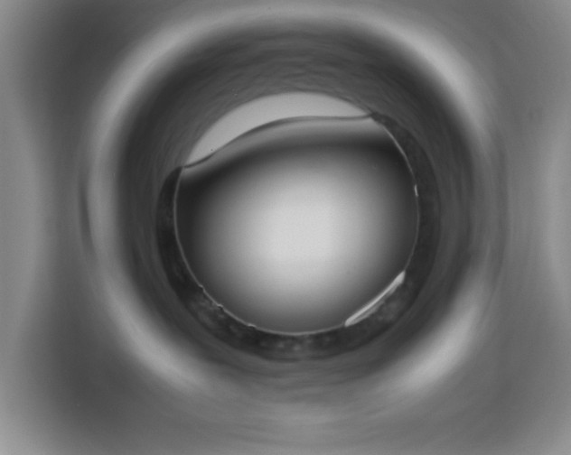 X0000113750239200909301038