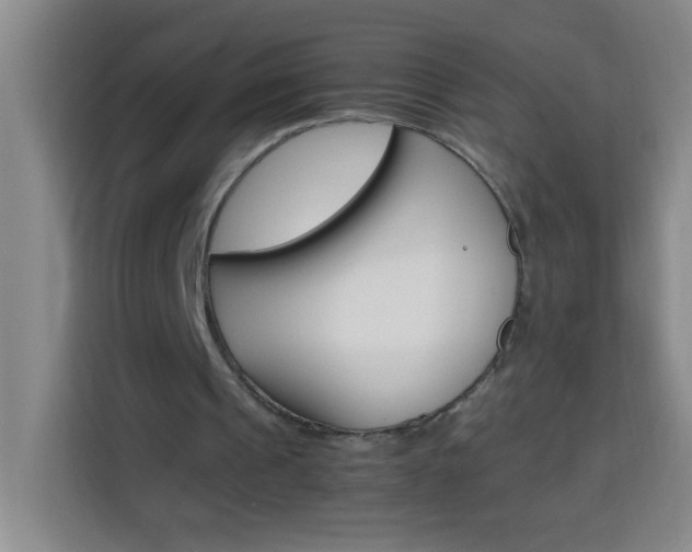 X0000113750241200909301037