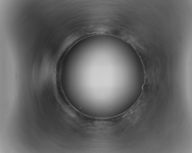 X0000113750242200909301037