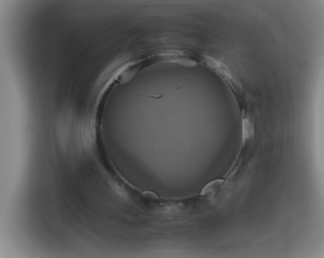 X0000113750243200909301037