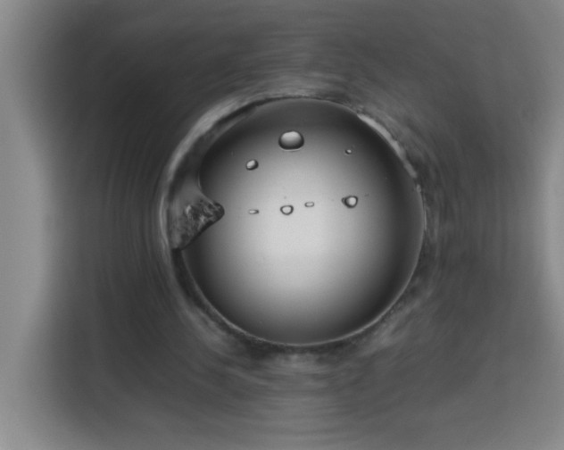 X0000113750244200909301037