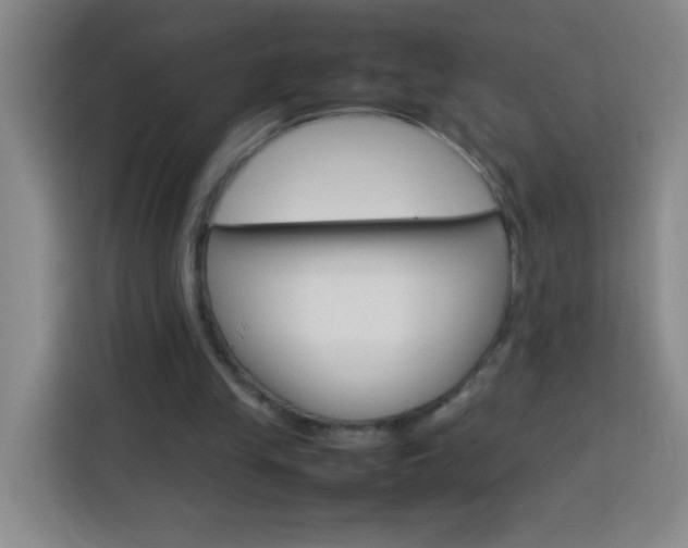 X0000113750245200909301037