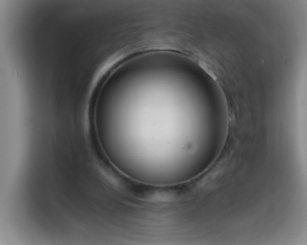 X0000113750248200909301037