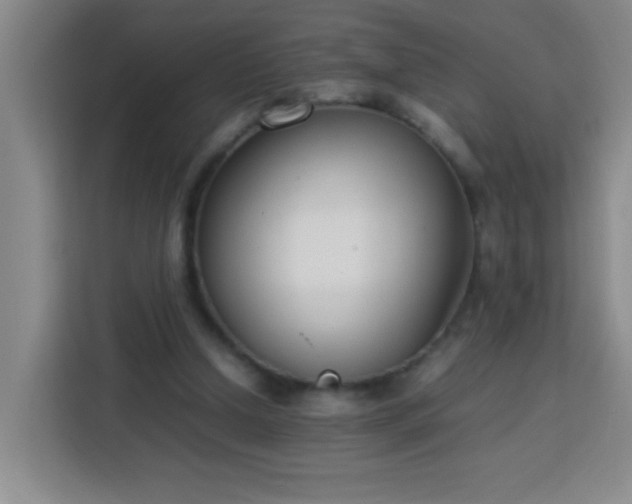 X0000113750250200909301037