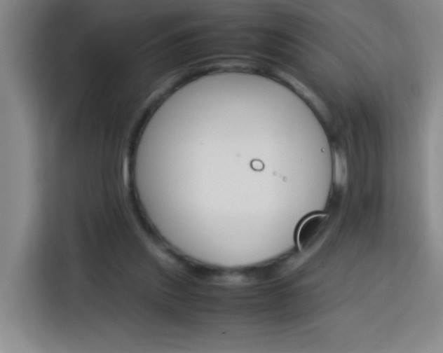 X0000113750253200909301037