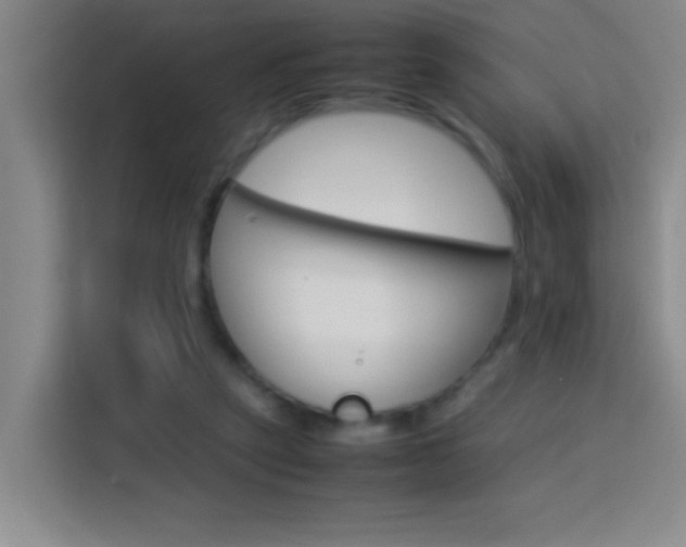 X0000113750257200909301037