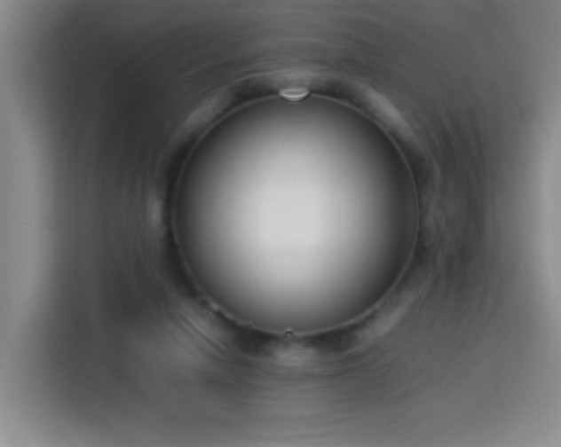 X0000113750258200909301037