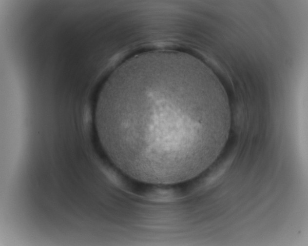 X0000113750260200909301037