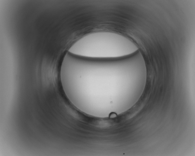 X0000113750261200909301037