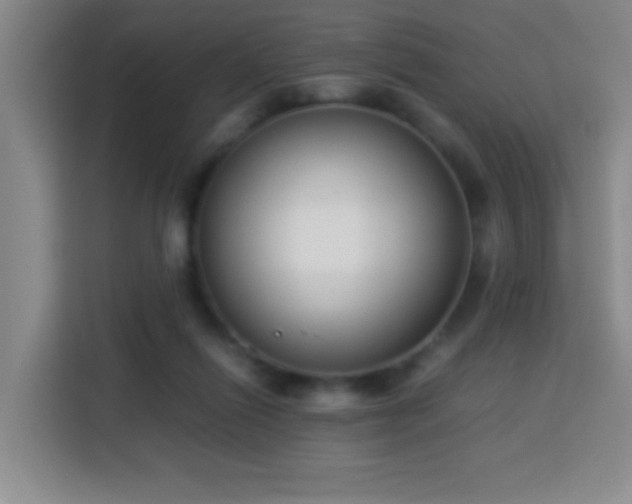 X0000113750262200909301037