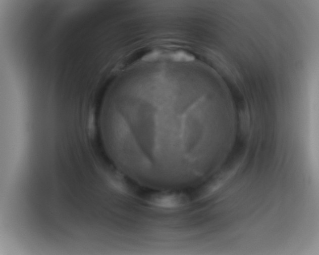 X0000113750267200909301037