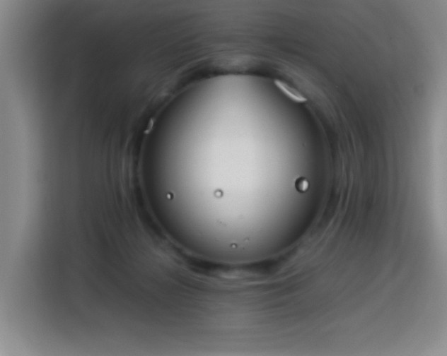 X0000113750268200909301037