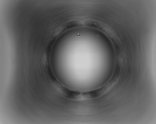 X0000113750270200909301037