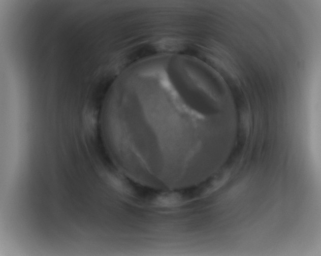 X0000113750271200909301038