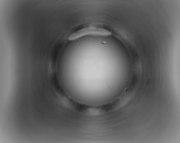 X0000113750272200909301038