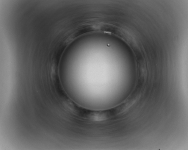 X0000113750275200909301038