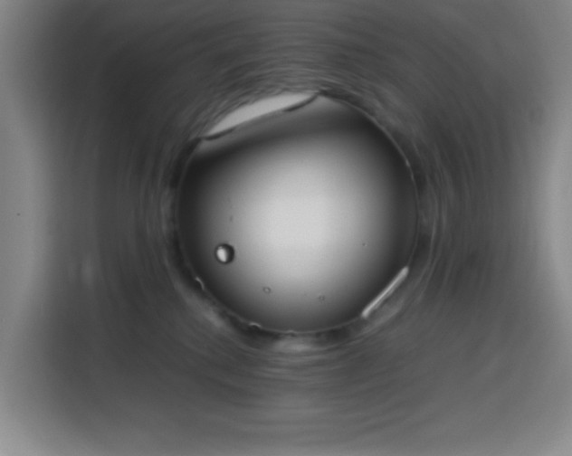 X0000113750280200909301038