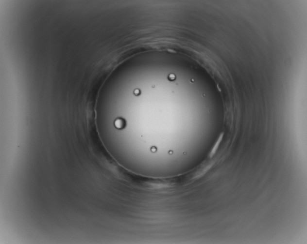 X0000113750284200909301038