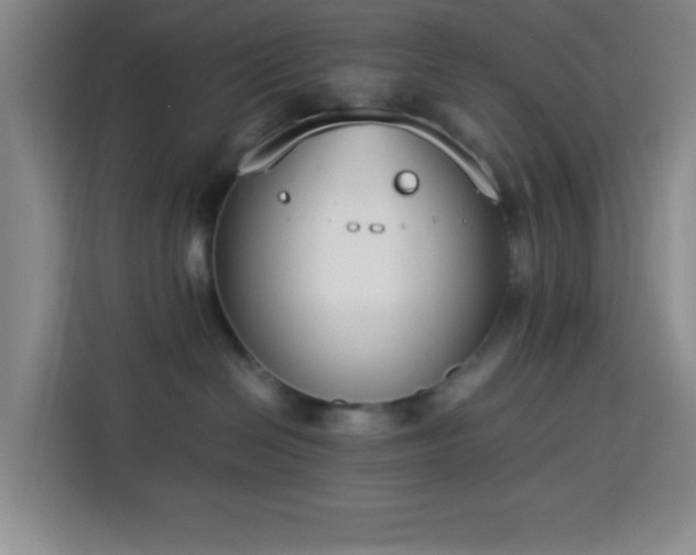 X0000113750286200909301038