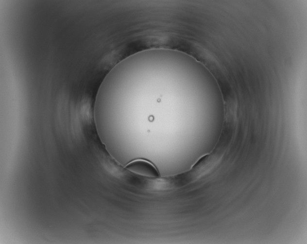 X0000113750287200909301038