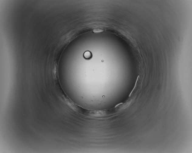 X0000113750288200909301038