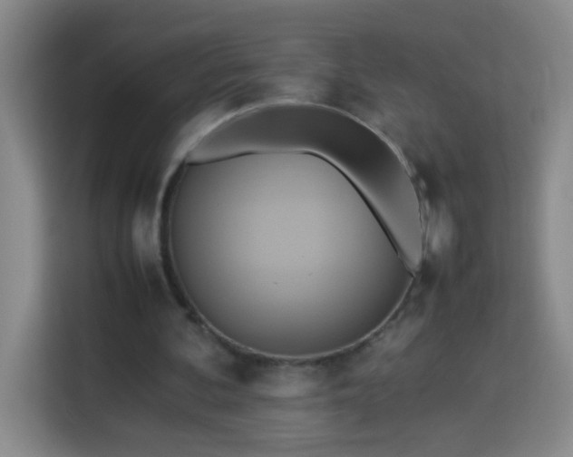 X0000113750292200909301037