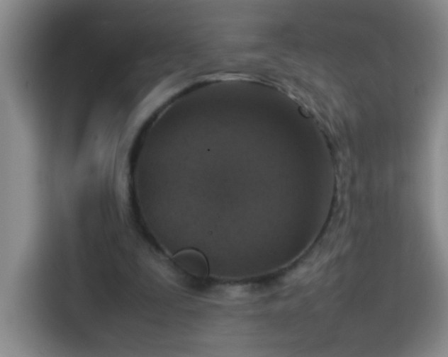 X0000113750295200909301037