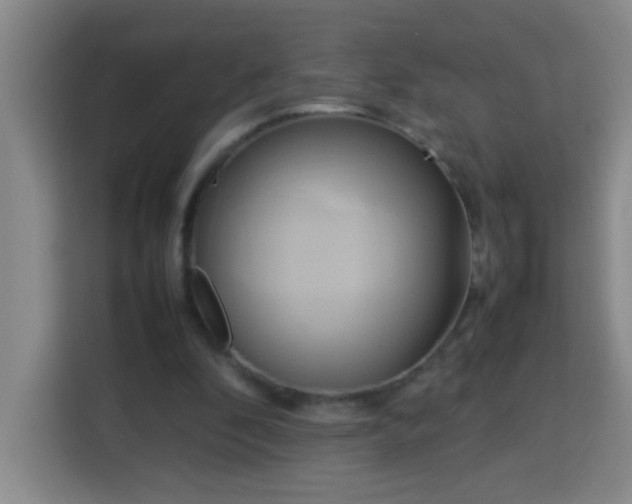 X0000113750296200909301037