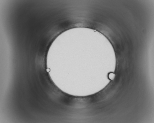 X0000113750297200909301037