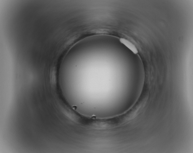 X0000113750299200909301037