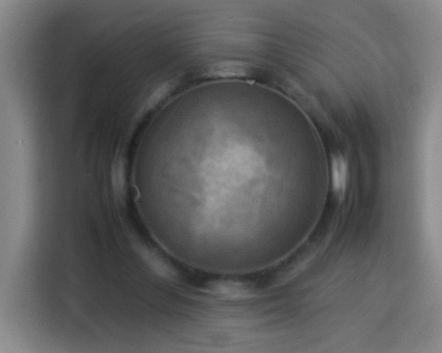 X0000113750300200909301037