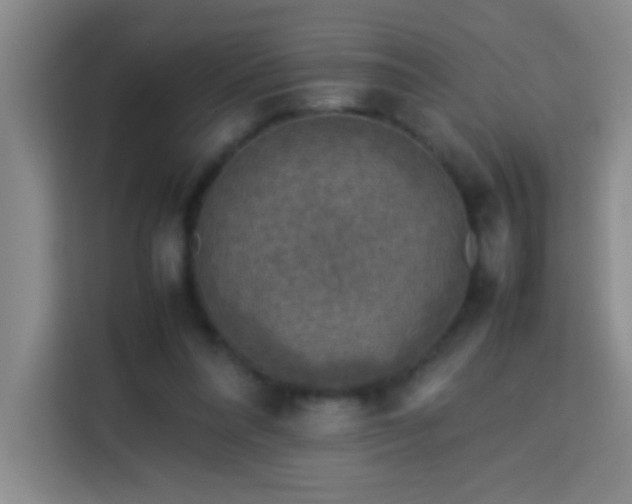 X0000113750304200909301037