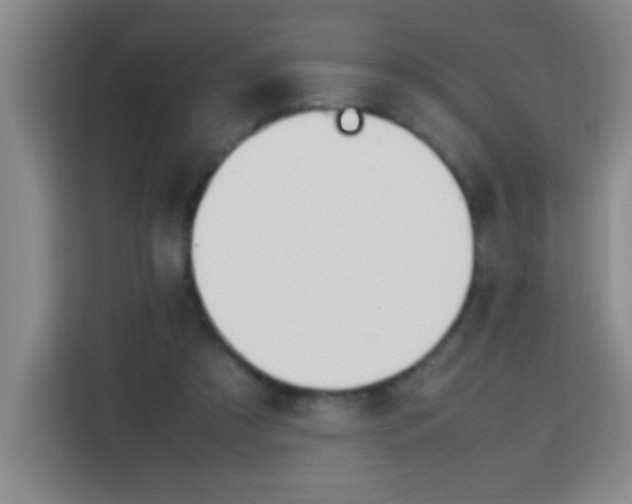 X0000113750305200909301037