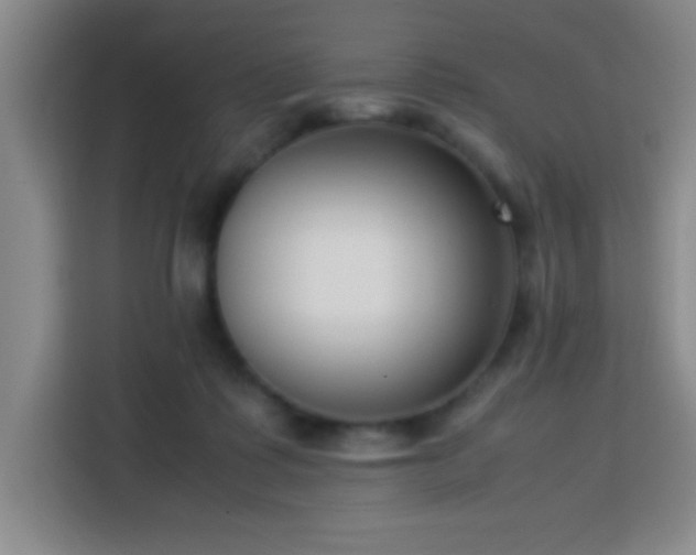 X0000113750315200909301037