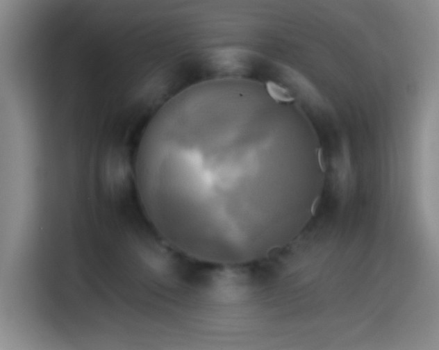 X0000113750320200909301037