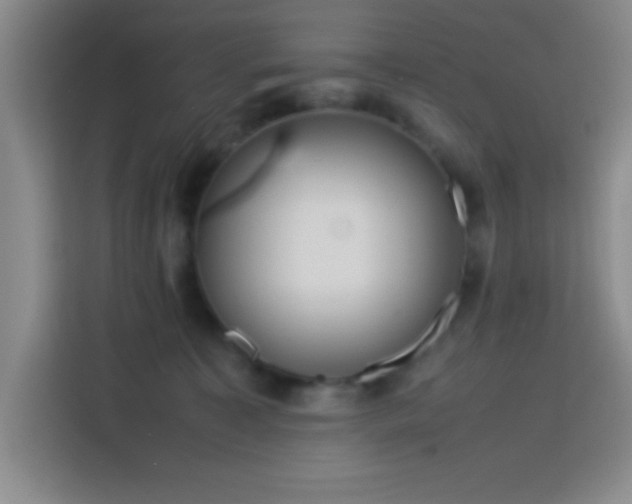 X0000113750323200909301037