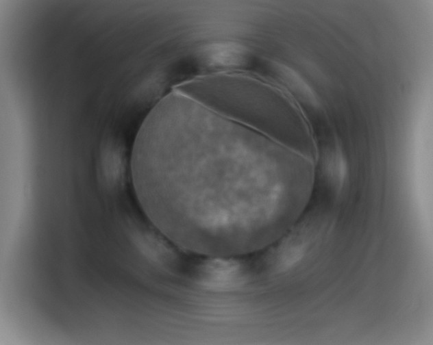 X0000113750328200909301037